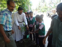World Environment Day Celebrations at BEM UP School, Calicut