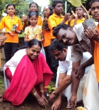 planting nakshatravanam