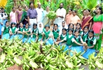  കലവറനിറയ്ക്കാന്‍ വാഴപ്പഴവുമായി സേക്രഡ് ഹാര്‍ട്ട് സീഡംഗങ്ങള്‍