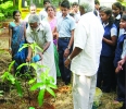 പുലിയന്നൂർ ഗായത്രിസ്കൂളിൽ ‘സീഡ്’ പദ്ധതി തുടങ്ങി