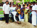 വിദ്യാലയ പച്ചക്കറിത്തോട്ടവുമായി  തേവര്‍വട്ടം സ്‌കൂള്‍