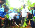 കാടാങ്കുനി യു.പി.സ്‌കൂളില്‍ ഇലക്കറിത്തോട്ടം  