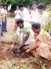  നടീല്‍ ഉത്സവവും ജാഥയും