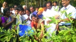   ജനശക്തി പബ്ലിക് സ്‌കൂള്‍ സീഡ് ക്ലബ്ബിന്റെ  പച്ചക്കറികൃഷി വന്‍ വിജയം