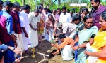  പടിഞ്ഞാറെ കൊട്ടാരം ക്ഷേത്രത്തില്‍ ജന്മനക്ഷത്രക്കാവ് ഒരുങ്ങുന്നു