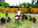  തൊട്ടതെല്ലാം പൊന്നാക്കി  ചാരമംഗലം സ്‌കൂള് 