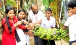  ചന്തേര സ്‌കൂളില് ഇനി പഴക്കാലം