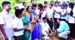  താമരക്കുളം വി.വി.എച്ച്.എസ്.എസ്സില്  ഹരിതഗ്രാമം പദ്ധതി