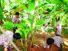 പരിസ്ഥിതിക്കൊപ്പം സമൂഹത്തിലും ഇടപെടല്‍;  കടക്കരപ്പള്ളി ജി.യു.പി.ജി. എസ്സിന്  അംഗീകാരത്തിളക്കം