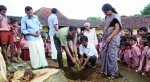 മഞ്ഞളൂര്‍ എ.എസ്.ബി.സ്‌കൂളില്‍ മാവിന്‍തൈ നട്ടു