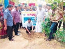 വെള്ളിമണ്‍ കോളനിയില്‍ മാതൃഭൂമി സീഡ് ഔഷധഗ്രാമം പദ്ധതി തുടങ്ങി