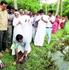 കാട്ടൂരിന്റെ തീരസംരക്ഷണത്തിന്  കണ്ടല്‍ച്ചെടികളുമായി സ്കൂള്‍ കുട്ടികള്‍