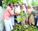  സ്‌കൂള്‍ തോട്ടത്തിലെ പച്ചക്കറി വിളവെടുപ്പ് ഉത്സവമായി 