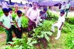 ചെറുമുണ്ടശ്ശേരി യു.പി.സ്‌കൂള്‍മുറ്റത്ത് വിളഞ്ഞത് 72 കിലോ പച്ചക്കറി 