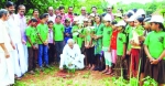  വിഷചികിത്സാലയത്തില്‍  സീഡ് കുട്ടികളുടെ ഔഷധത്തോട്ടം