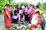  മട്ടുപ്പാവിലെ പച്ചക്കറിക്കൃഷിക്ക്  സീഡ് വിദ്യാര്‍ത്ഥികള്‍