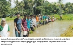 സീഡ് വിദ്യാര്‍ത്ഥികള്‍ പാടത്ത് ഞാറ് നട്ടു