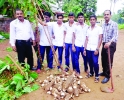  സഹപാഠികള്‍ക്ക് പുഴുക്കിനായി മരിച്ചീനിക്കൃഷി