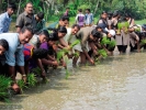 കൃഷി സംസ്‌കാരമാക്കി വെള്ളിമണ്‍ സ്‌കൂളിലെ സീഡ് ക്ലബ് അംഗങ്ങള്‍