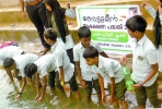 തോട്ടുമീനുകളെ സംരക്ഷിച്ച് സീഡ് കൂട്ടായ്മ  