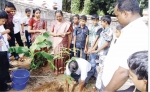 ബോധവത്കരിക്കാന്‍ ആന്റിപ്ലാസ്റ്റിക് സേന പുകയില കുറയ്ക്കാന്‍ ഇന്ദ്രജാലം 