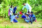 രായിരനല്ലൂര്‍മല ഹരിതാഭമാക്കാന്‍ മുരളീധരന്‍മാഷും കുട്ടികളും