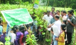  അരയങ്ങോട് യൂണിറ്റി സ്‌കൂളില്‍ വിളവെടുപ്പ് ഉത്സവമായി 