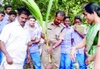 നാളികേരദിനത്തില്‍ തകഴി ദേവസ്വം സ്കൂളില്‍ തൈ നട്ട് സീഡിന് തുടക്കം