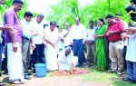 അപ്സരയില് സീഡ് പ്രവര്ത്തനം തുടങ്ങി