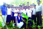 അവർ വാഴനട്ടു, പ്രതിജ്ഞയെടുത്തു