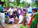    ഇല്ലത്തുകാവില്‍ ആര്യവേപ്പിന്‍തോട്ടം ഒരുക്കാന്‍ മാതൃഭൂമി സീഡ്ക്‌ളബ് 