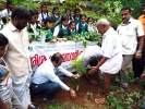 ഗ്രാമ വനവത്കരണവുമായി  സീഡ് ക്ലബ് അംഗങ്ങള്‍