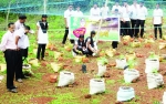 ജൈവപച്ചക്കറി കൃഷിയുമായി  കൊടക്കാട് സ്കൂൾ സീഡ് ക്ലബ്ബ്