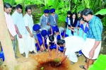  പാലക്കാട്:വീട്ടുമുറ്റത്തൊരു  ഔഷധത്തോട്ടം