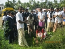 My tree challenge at Phoenix Public School,Methala