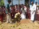 ഗവ. ഫിഷറീസ് സ്‌കൂളില്‍ ട്രീ ചലഞ്ച്‌