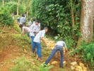 കാവ് സംരക്ഷണത്തിന് കല്ല് കൈയാലയുമായി സീഡ് ക്ലബ് വിദ്യാര്‍ഥികള്‍