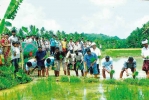 കാര്‍ഷികസമൃദ്ധിക്ക് കരുത്തുമായി സീഡ് യൂണിറ്റ് 