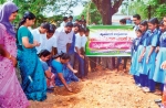 വെട്ടിക്കവല ഗവ. മോഡല്‍ എച്ച്.എസ്.എസ്സില്‍ പച്ചക്കറിത്തോട്ടം 